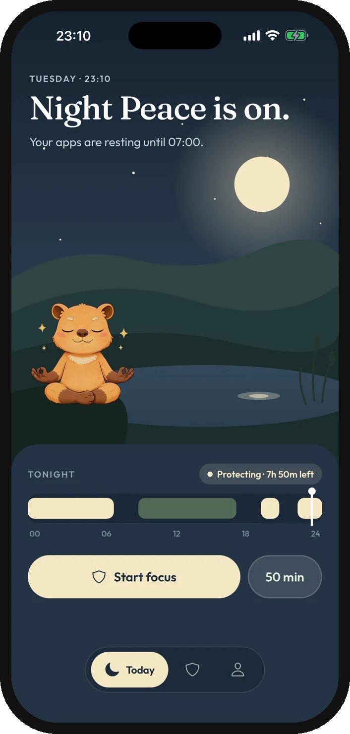 Today screen at night while Night Peace is on