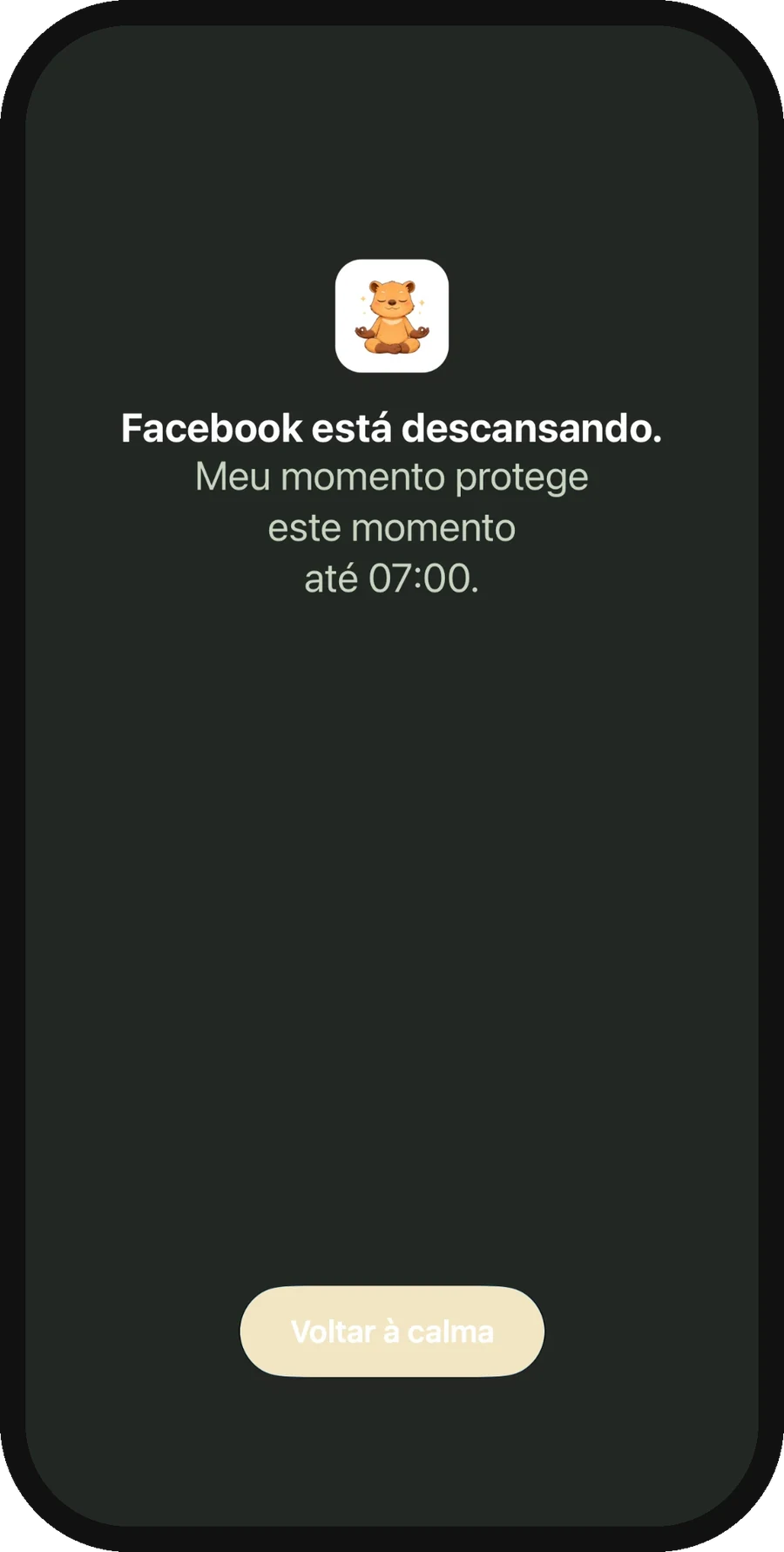 Block screen saying the app is resting until 07:00