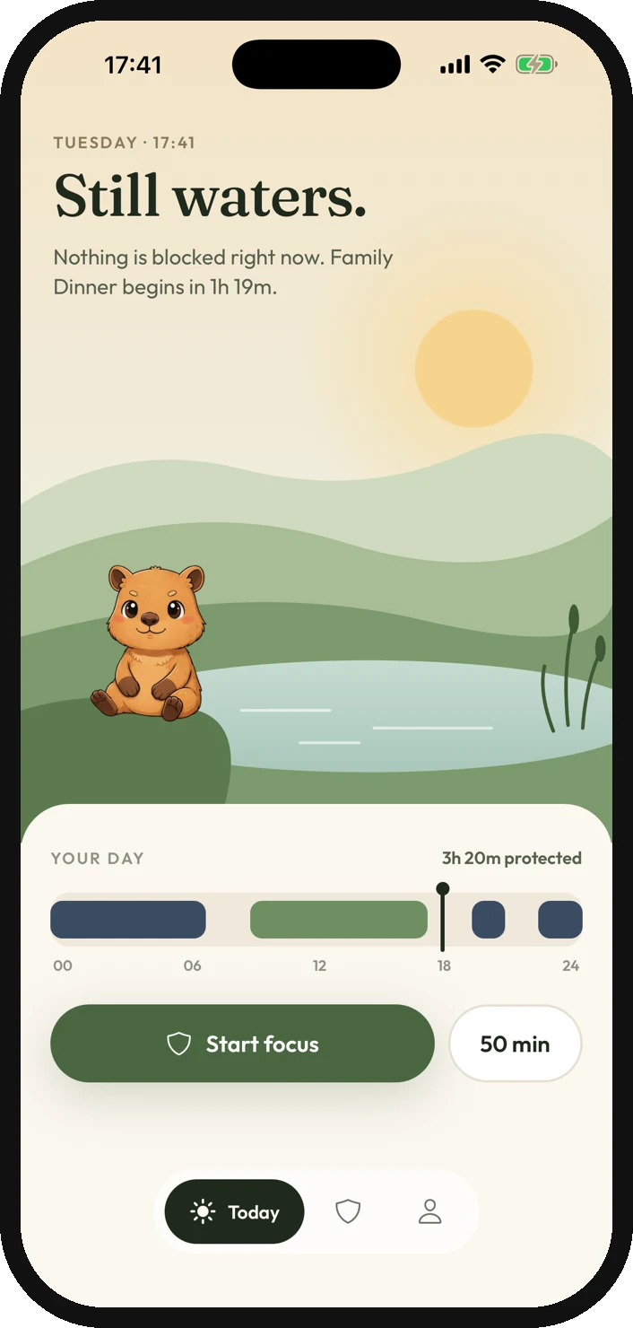 Today screen in the afternoon, with the day timeline